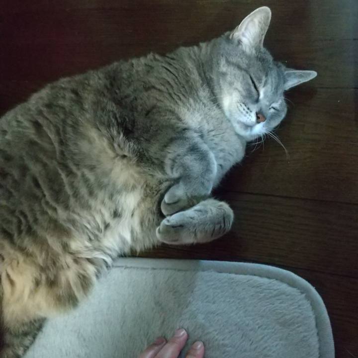 F60b7022 2990 4c14 a18e 163915459c61 1636623746166