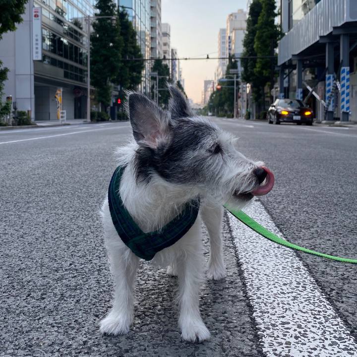 F60b71b3 2779 44dc 9f34 2199acd5b81e 1597551594754