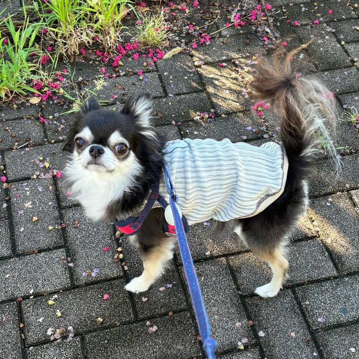 F60b859d cfba 4ae8 8aae ce7b6fd6eb4d 1723911289168