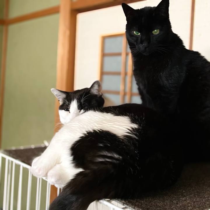 F60bb2bf 25f4 4734 a657 8e1624c5aa58 1653268452764