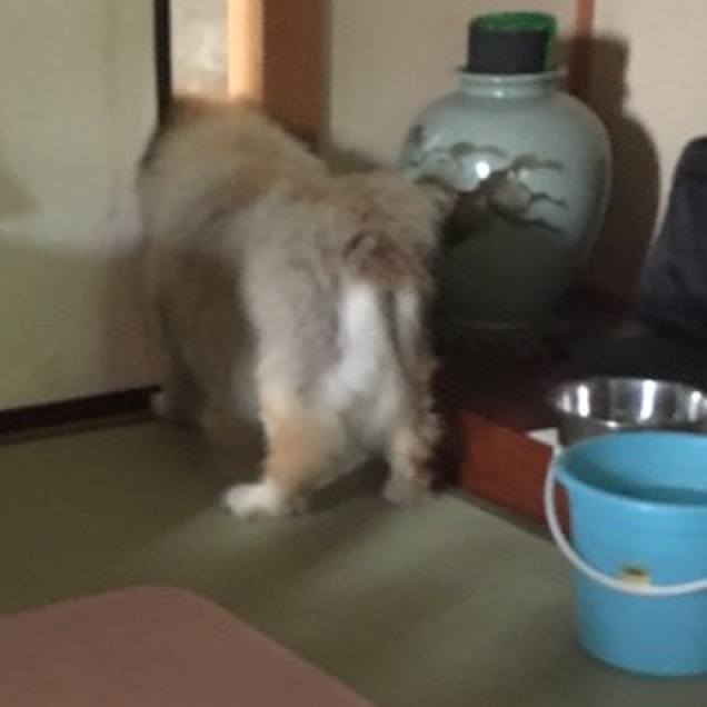 F60bcc80 f34d 4354 ba76 d784c803b3cf 1592744112012