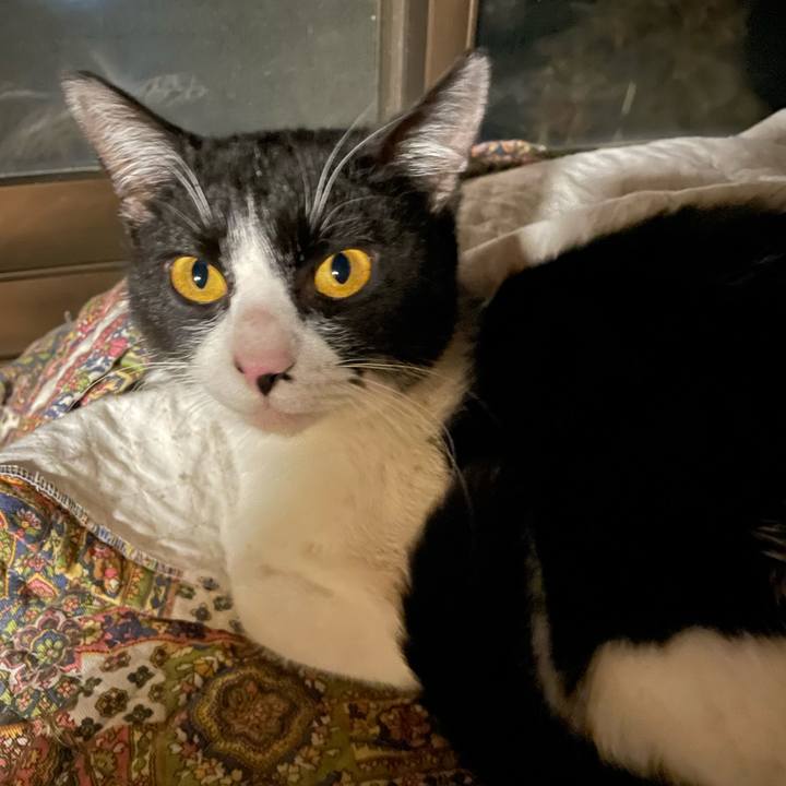 F60bd230 dee4 44f6 bf90 c43447d411b1 1679842679667