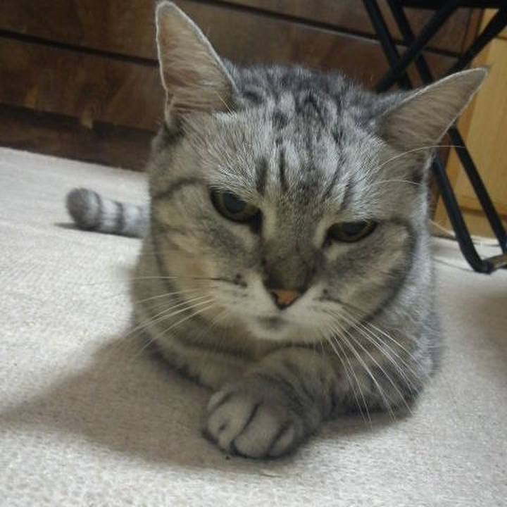 F60bd5a2 27ef 4c50 a35a 15762370b672 1508547085171