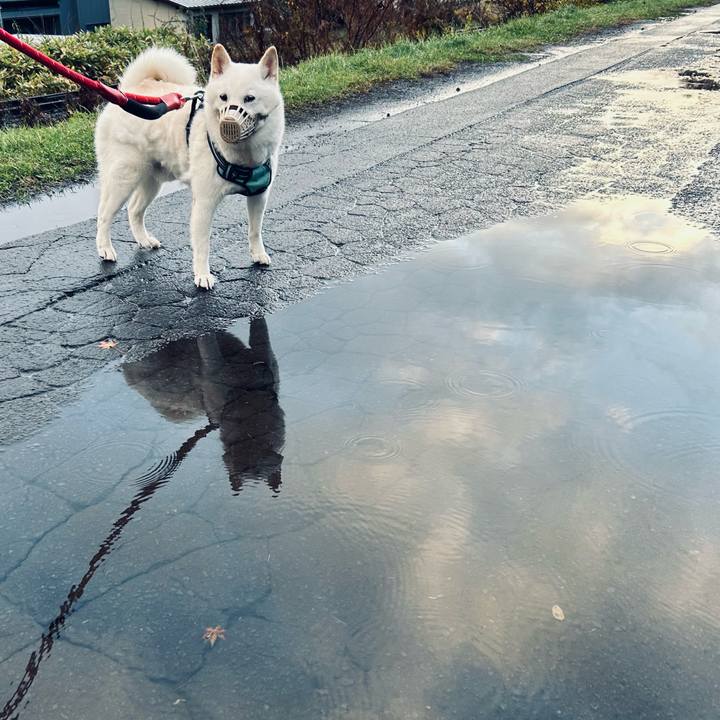 F60bed20 d0cb 4aef b89b 8c26b59fa23e 1699407530083