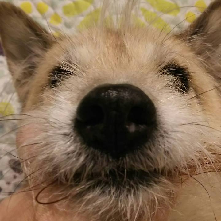 F60c6528 4312 4803 9feb 03a3c2373c2d 1523622841523