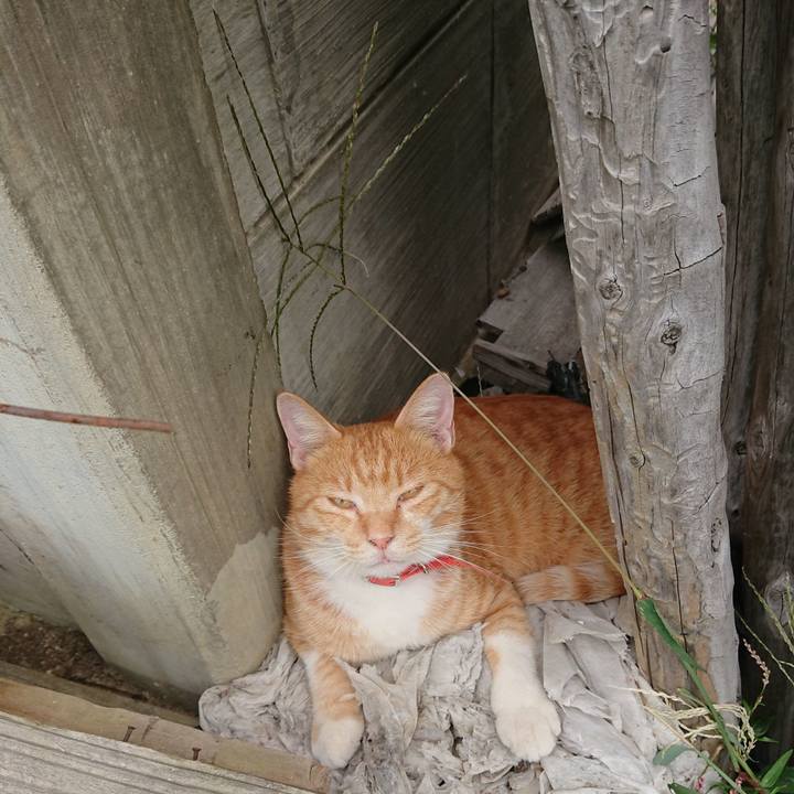 F60c6af7 2e0f 4afd 9baa 452fb61dfd8e 1569120844656