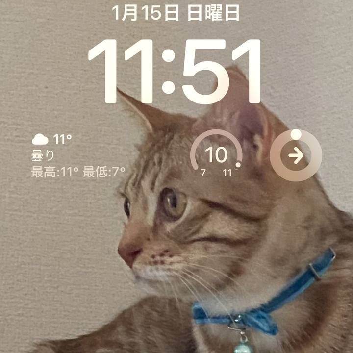 F60c8928 5e1a 4d8d ba81 54af42ec5c76 1673751141649