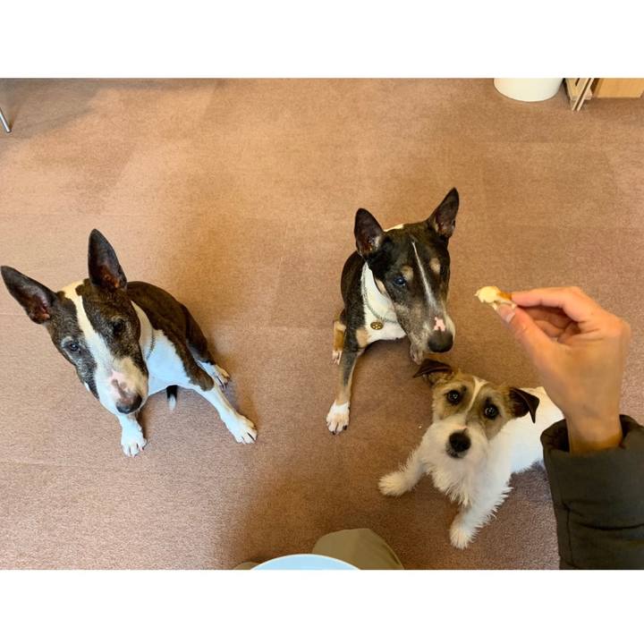 F60c8f8c ef4f 48ac 9b7e 28f59dedb9a4 1583642604991