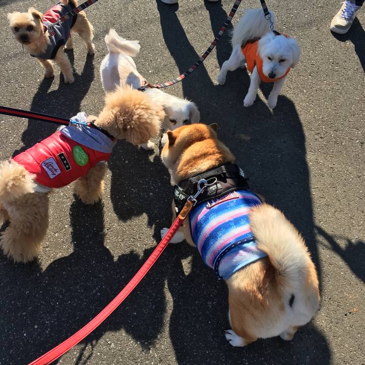 F60cdf1f 4449 447e 81ea 49bfffa122be 1612057799290