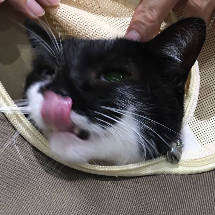 F60cf52c 9bd7 4765 bf54 6a4fd07be0a2 1507743421463