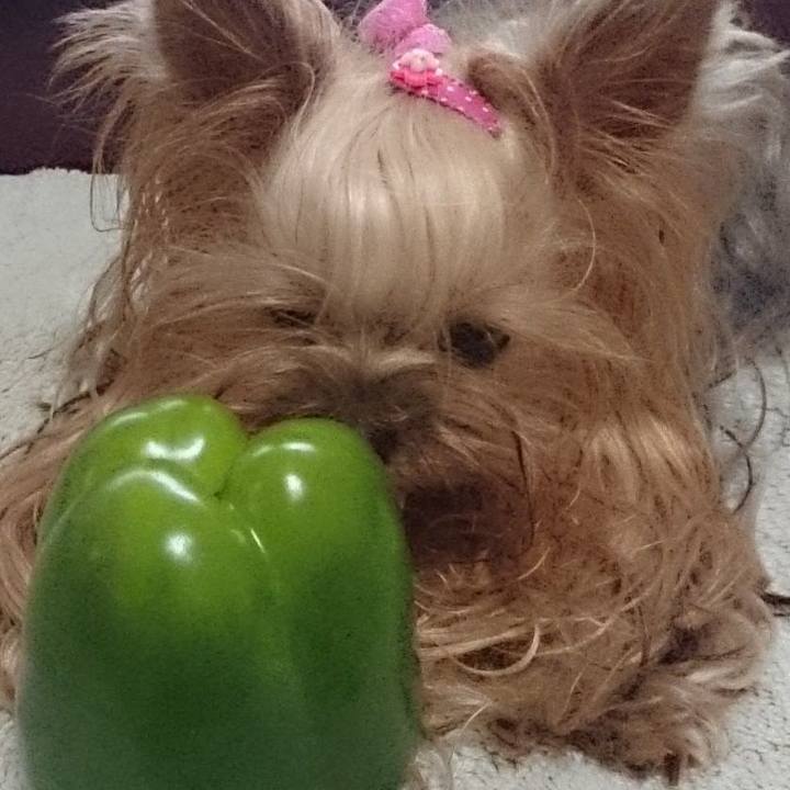 F60cff4e 2c26 417f 8c1e 6f558568e8db 1556292531494