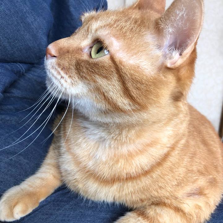 F60d34eb 9ae8 4558 80d9 6e705215cd32 1640926491816