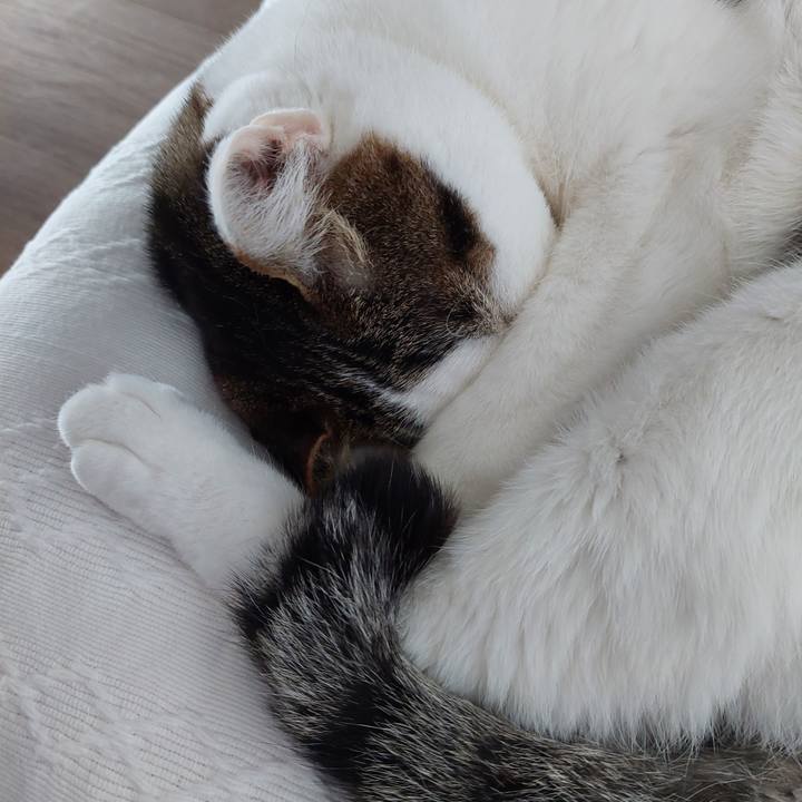 F60d4c6c 62d5 4122 a930 2362ff32a1d0 1682664804854