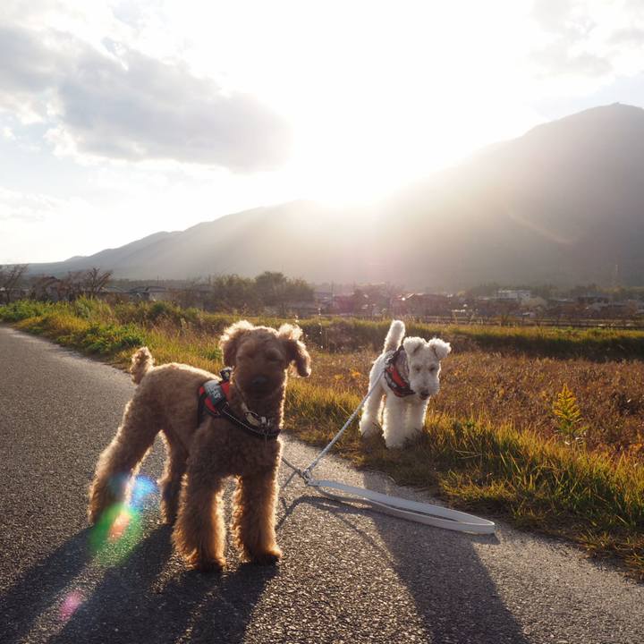 F60d5517 4863 4128 8862 9fd0f1a7c5fe 1540740518908