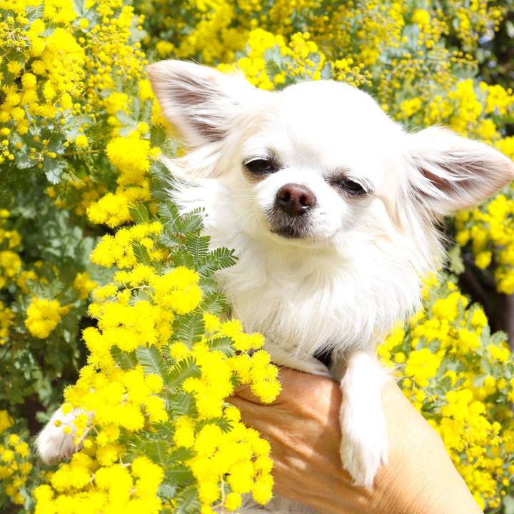 F60d562e 0ed8 4a39 8484 885b70f5e88d 1772933166832