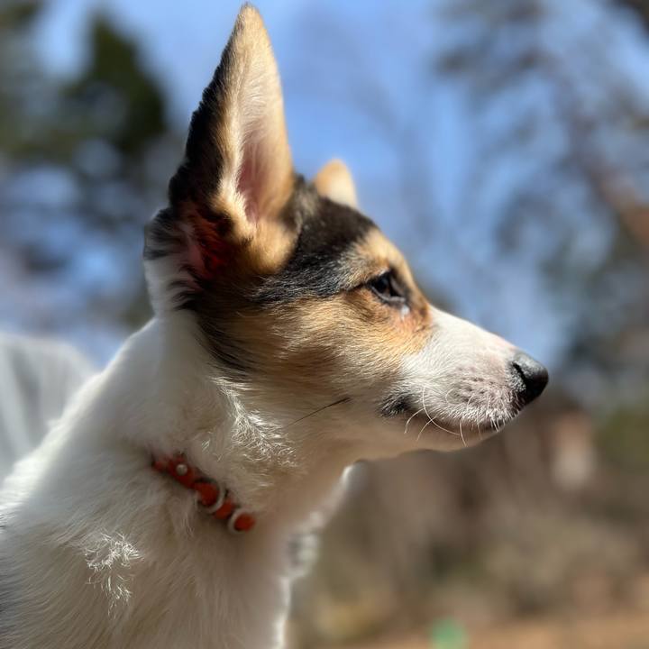 F60d7141 90f0 4af2 84c9 c86a661aed4a 1773579045236