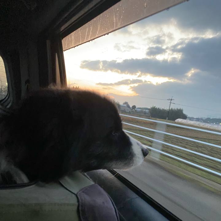 F60d908c 515e 4b4b 9353 964ab04d0f73 1703455525198