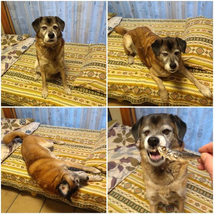 F60da08d 8642 4255 9719 0927f027bbf8 1549268000340