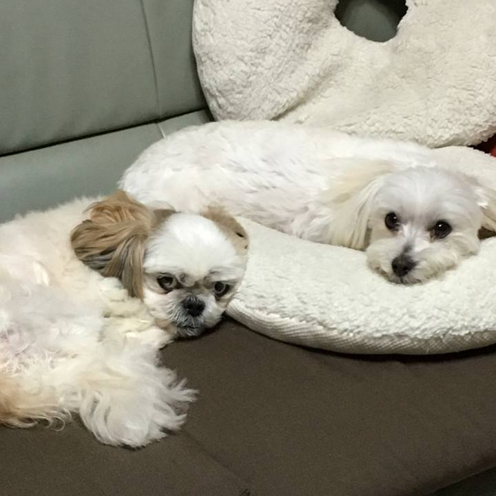 F60daafe 1b00 460c baec cccfabb567d6 1539645717323