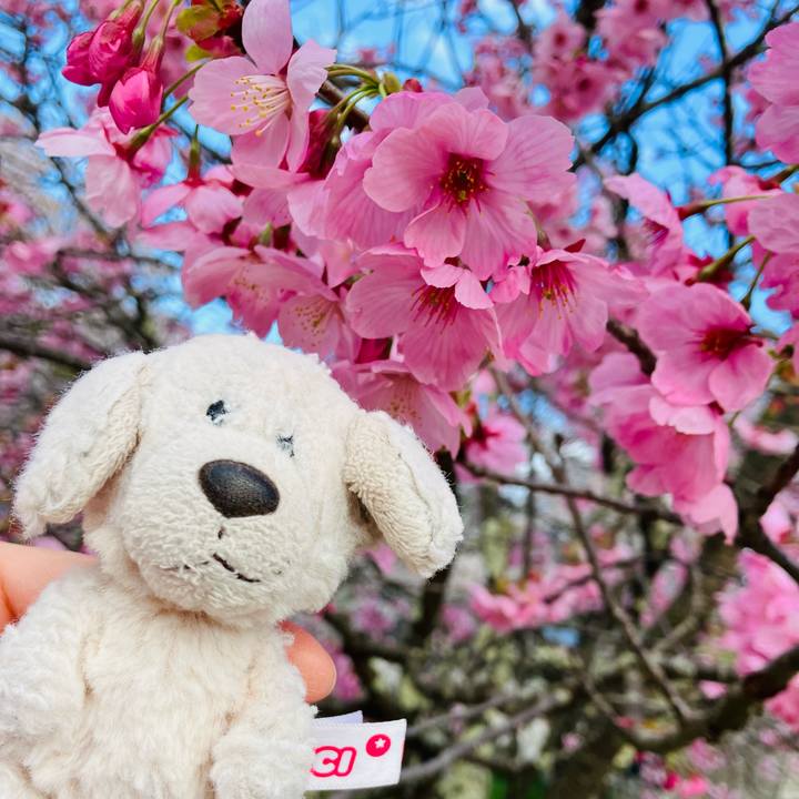 F60dc2cd 2aa8 434a 81d1 77d2d456ce9a 1776821413343