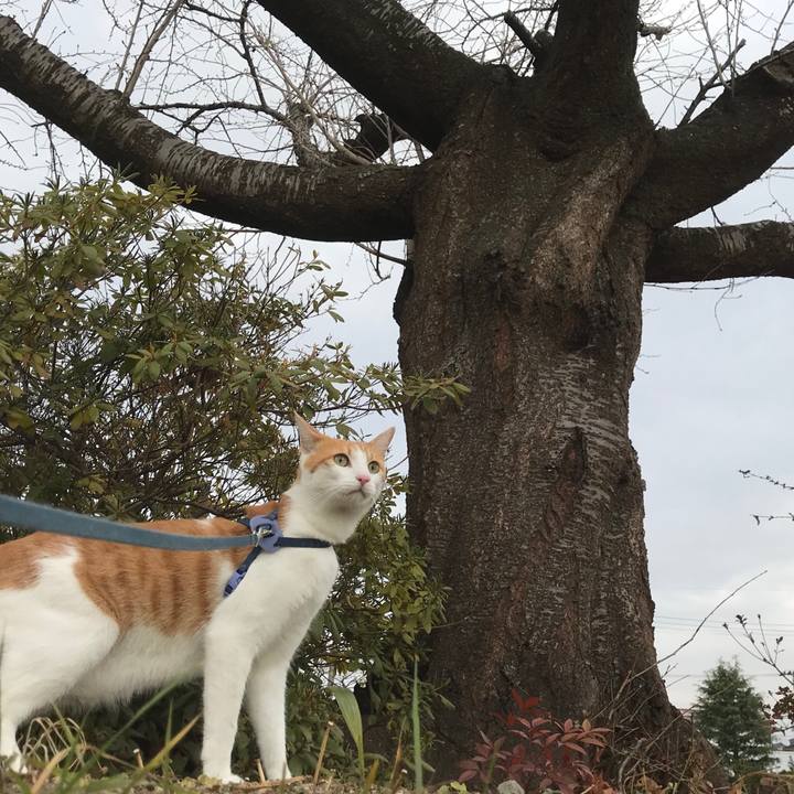 F60dcc86 ce8b 49ce 8eaf dc53d843576f 1512125744519