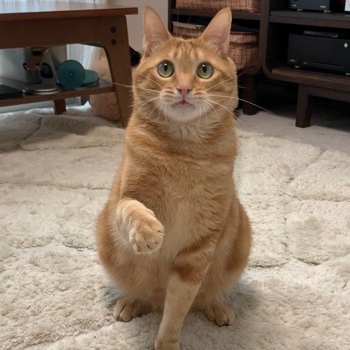 F60ddcfb 1d8b 4236 9b26 1d07e78d3fcf 1621550215034