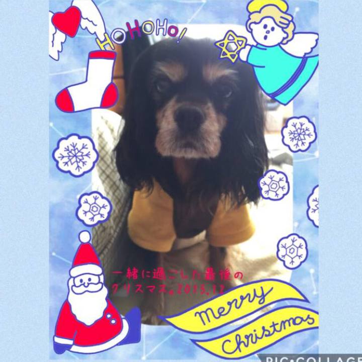 F60de806 cdeb 431c 8080 957d9fd7fab6 1577281260530