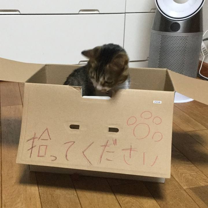 F60dec67 28dd 4114 bb09 4dafd554d48b 1582839904197