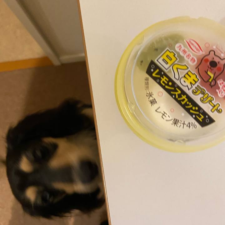 F60e1a51 e96b 41e3 8461 4e51144da97c 1714732149843