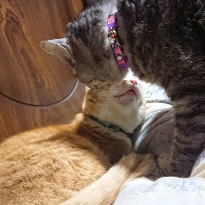 F60e3c05 1ab4 4bd3 b73e 356bbcf8ae8d 1583063217730