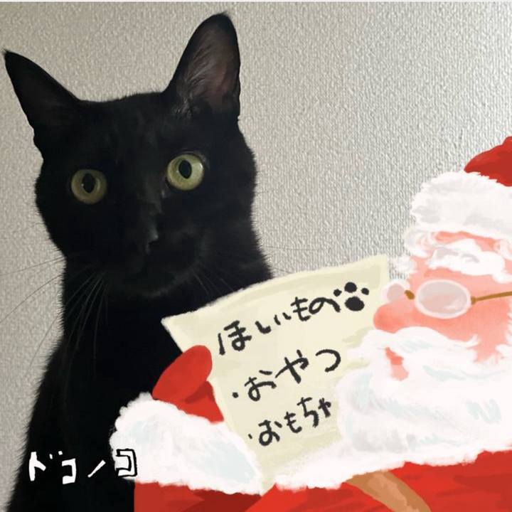 F60e3c5c 7dc5 49f1 802a ea8ab82062d3 1731884885473