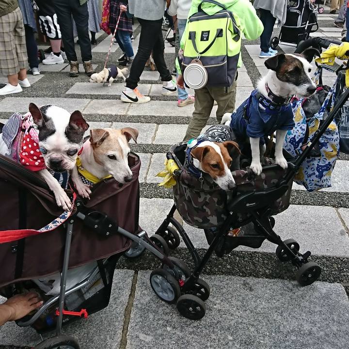 F60e4884 ce13 4f39 b94d de74bd7702e5 1539492271877