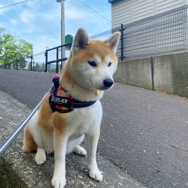 F60e562c 523f 46fd 9bf5 132f42bf7efd 1657793609656