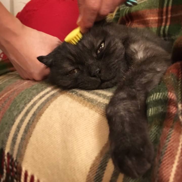 F60e571f 47bd 4e34 96e4 db83c987fa92 1527351426158