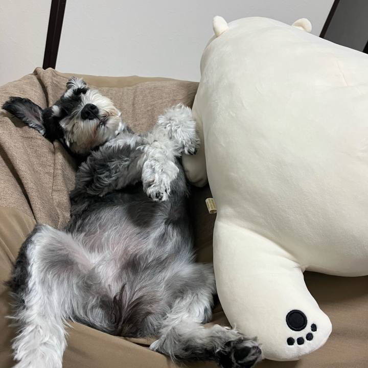 F60e7f9e 5bed 4805 bf1e 9446e21affd7 1757931150473