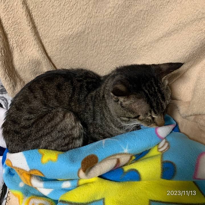 F60e832f 70f0 4457 adf1 7906c3144f2e 1699914414238