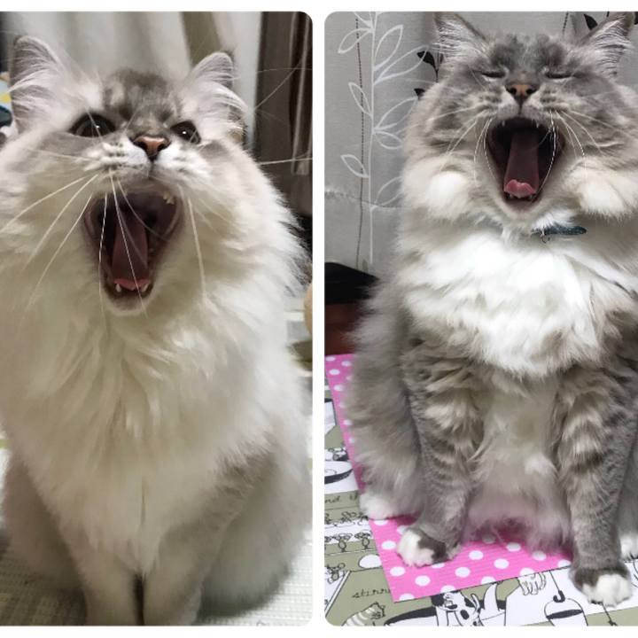 F60ebfdc 4e43 4157 9990 0c47e66d3a2a 1513089511731