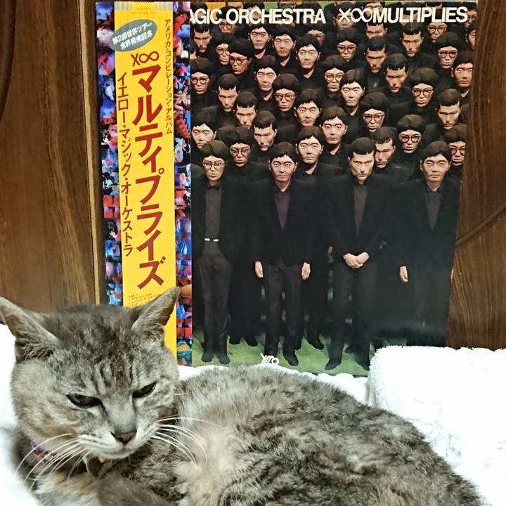 F60ef028 9d3d 4596 8a16 d133a829878f 1592051552884