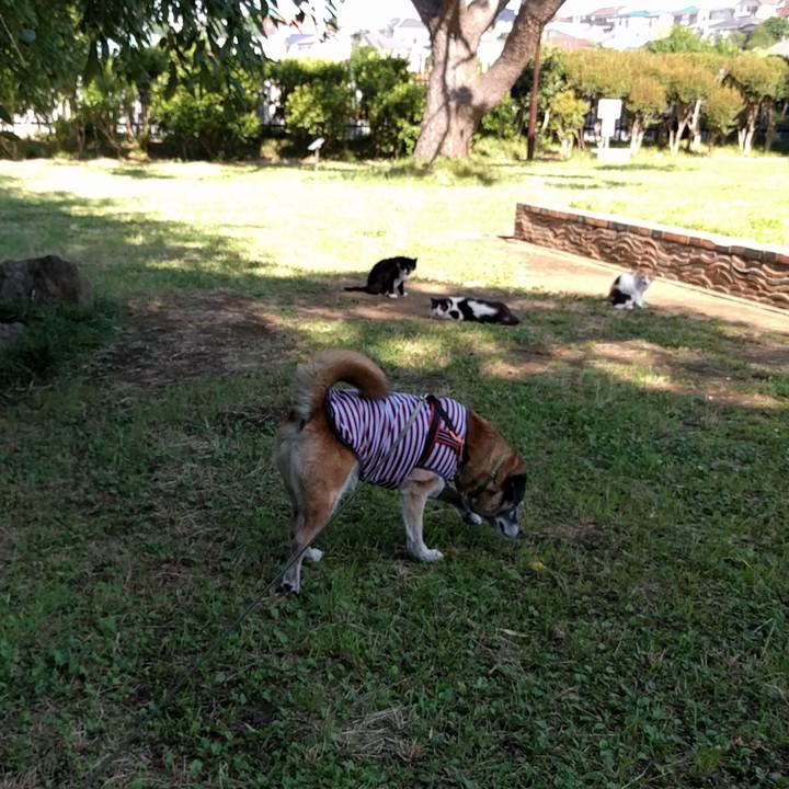 F60ef12c 9473 4972 8e6f 17cf7bb7d3a7 1531183510022