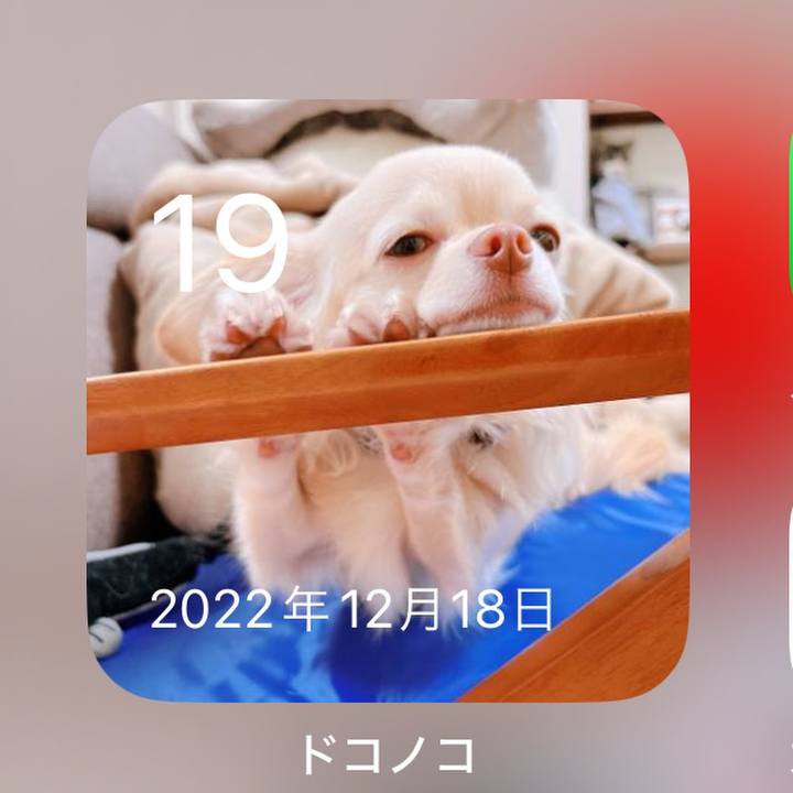 F60f5a9c eb75 4301 9d40 265a0d3560ba 1702978321368