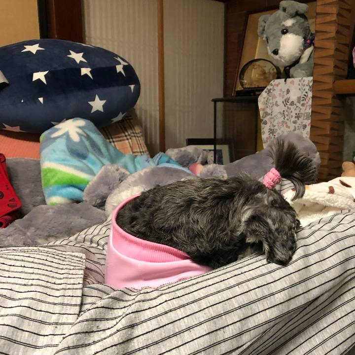 F60f6960 4a9b 4911 89a6 4471ccf84bc4 1650808984833