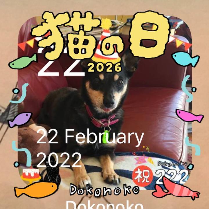 F60f794f ac31 41f3 a379 0c6d118498d3 1771729472049