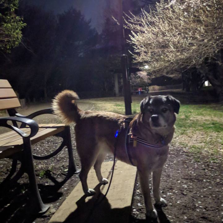 F60fb5d7 5004 44bb 9219 ef2f9f1702d4 1552387030596