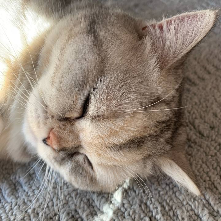 F60fe845 de16 4969 9140 76bbea81da4e 1708213145786