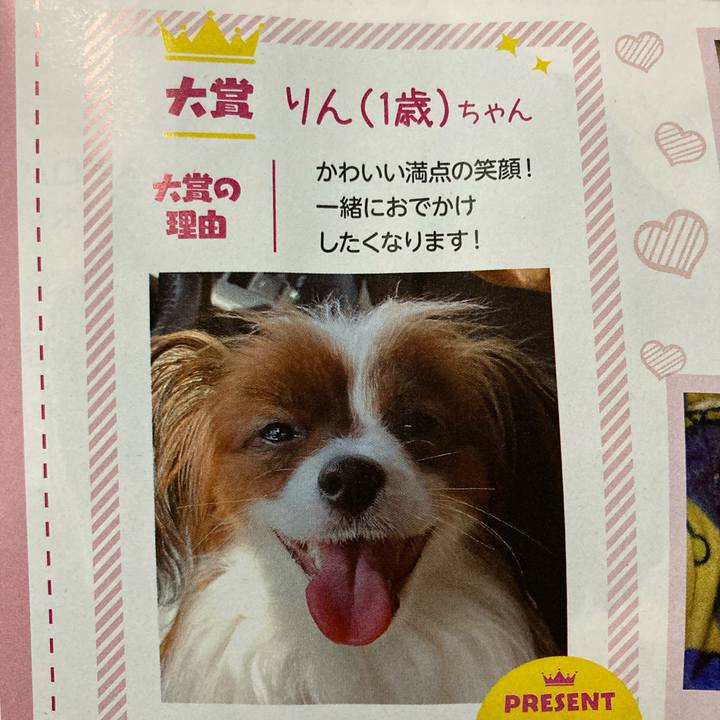 F60ffa24 c2f8 41dc 93e0 0fdd1173fc22 1638606148450