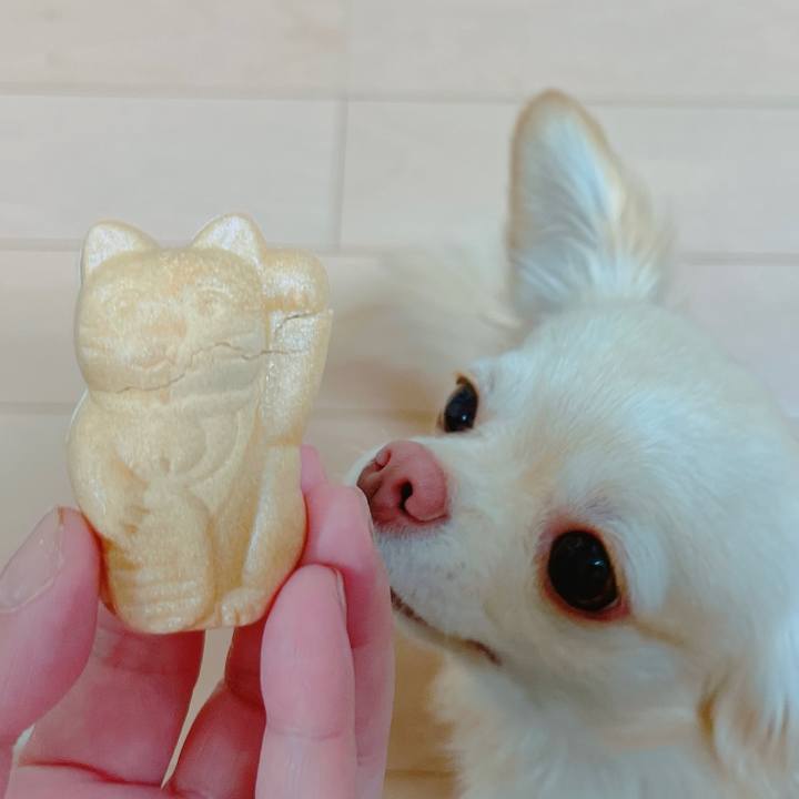 F6104ed2 e07a 4dfe 9a6f 4e2ee78bb6d1 1650714540472