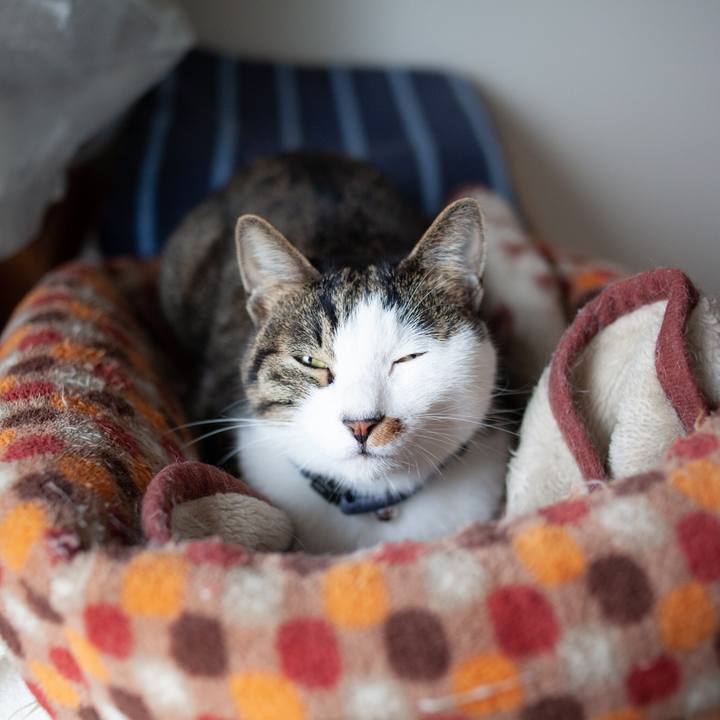 F610a145 3126 414b 9da9 08ead95066bb 1571708099537