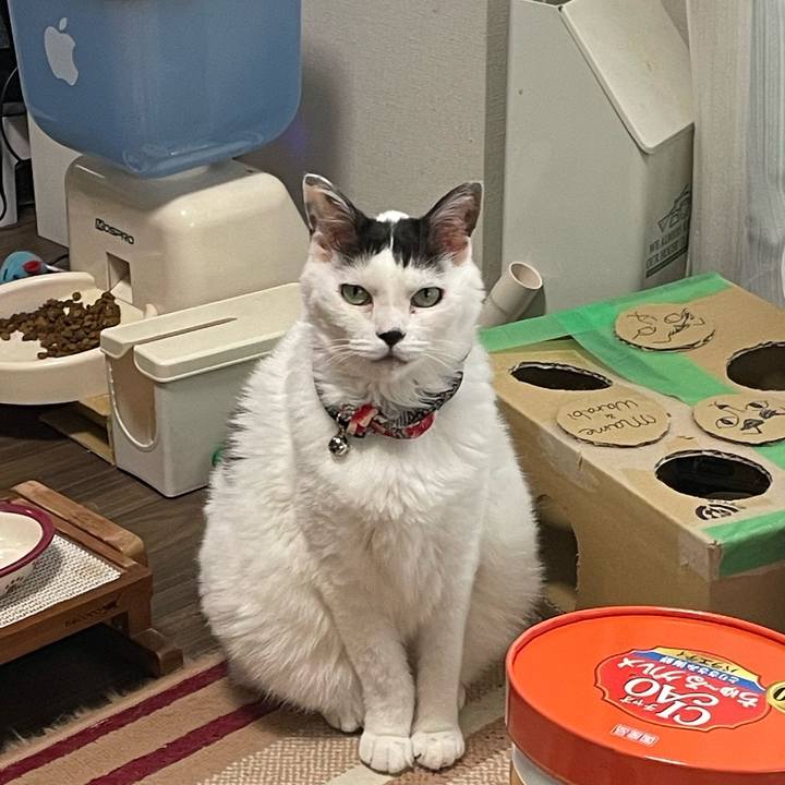 F610e1cc 6b01 4995 8bae 03056ce80deb 1719531457998