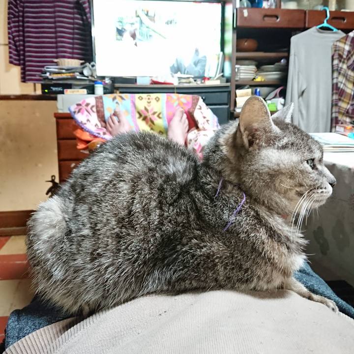 F6110aba 2877 412c a4a9 85775543113b 1585222905631