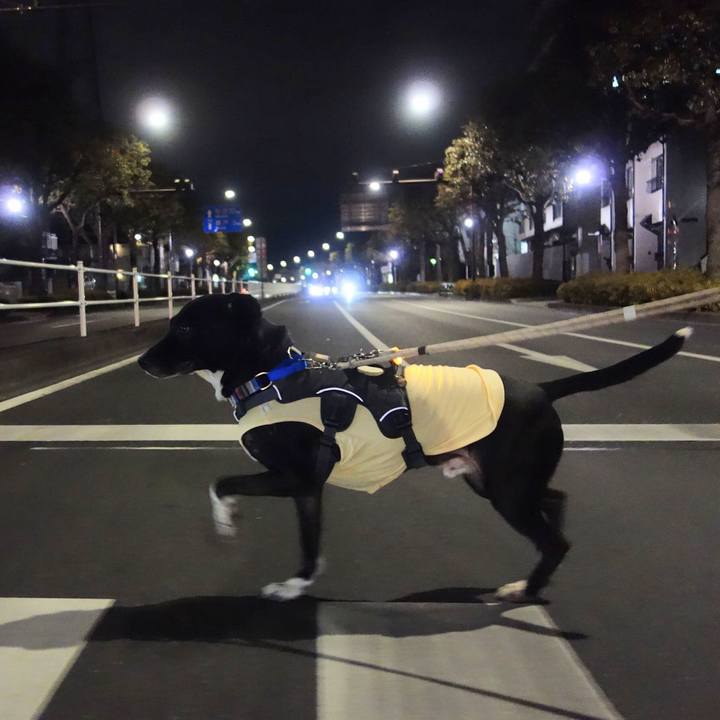 F6110e81 cad7 4935 be2f 9a1e8c1fc48c 1643540560299